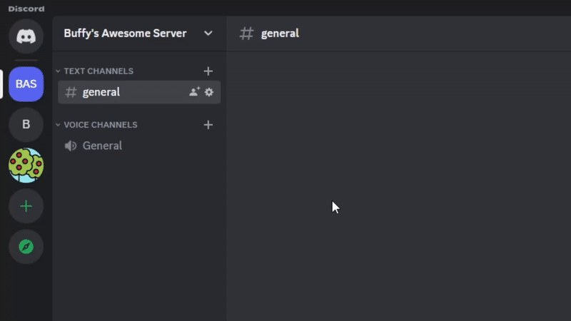 Discord desktop app showing a server name above its channel list