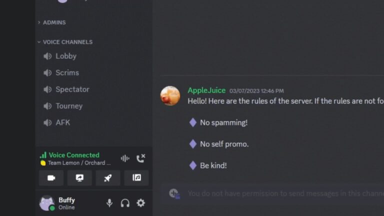 Discord voice status panel with Voice Connected and the screen share button