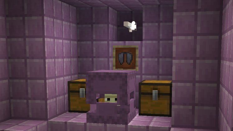 End ship treasure room with elytra in an item frame and a shulker
