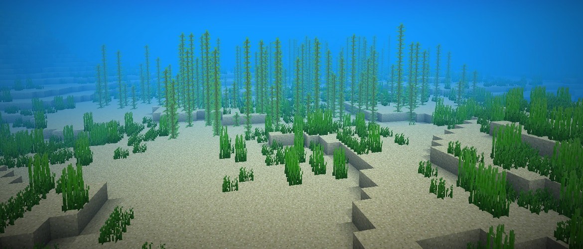 Tall kelp stalks and seagrass growing across a Minecraft ocean floor