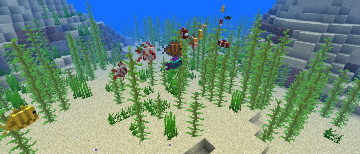 Tropical fish swimming between kelp stalks above a sandy Minecraft ocean floor